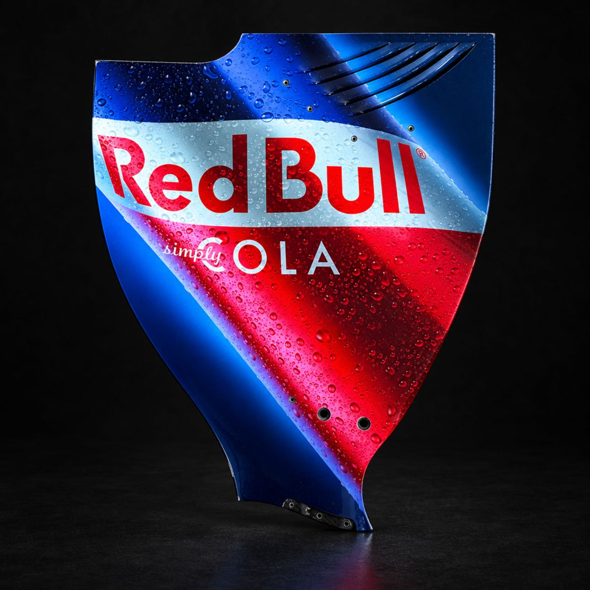 Race-used RB6 rear wing endplate